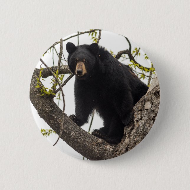 Badge Rond 5 Cm Ours noir Escalade (Devant)