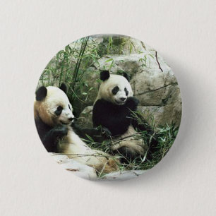 Badge Rond 5 Cm Ours panda mangeant et jouant
