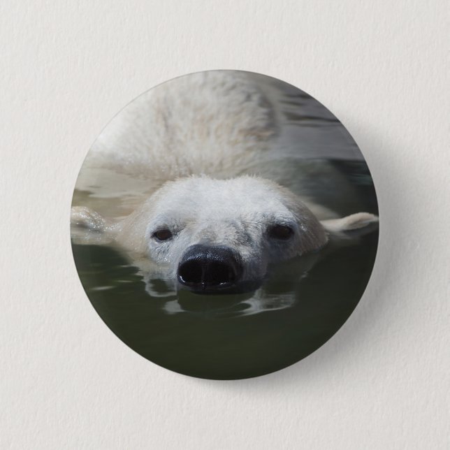 Badge Rond 5 Cm Ours polaire (Devant)