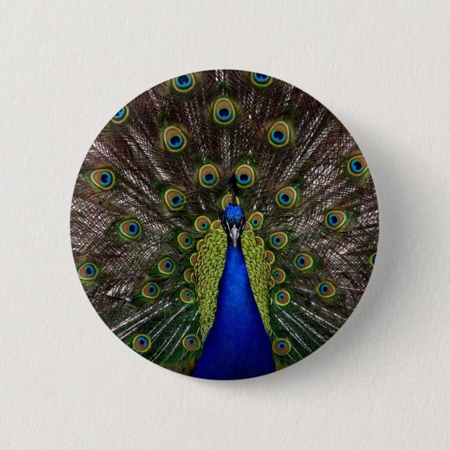 Badge Rond 5 Cm Pacock (Devant)
