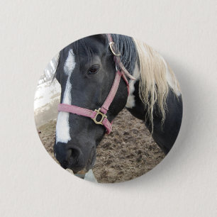 Badge Rond 5 Cm Paint Pinto Horse