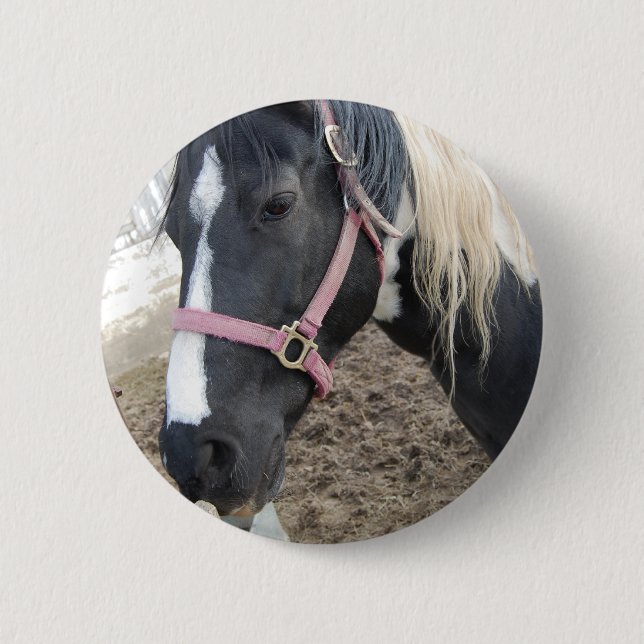 Badge Rond 5 Cm Paint Pinto Horse (Devant)