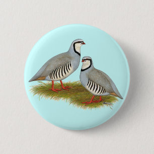 Badge Rond 5 Cm Paire de perdrix de Chukar