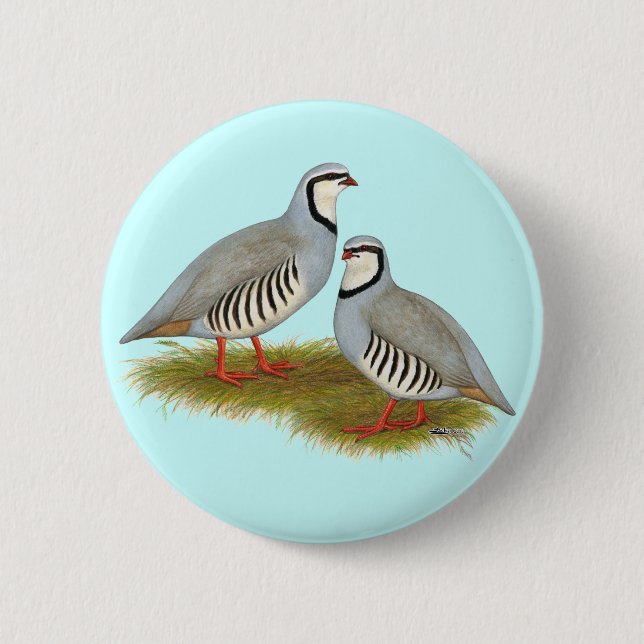Badge Rond 5 Cm Paire de perdrix de Chukar (Devant)