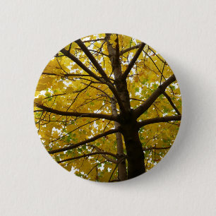Badge Rond 5 Cm Paire d'érables jaunes Nature d'automne