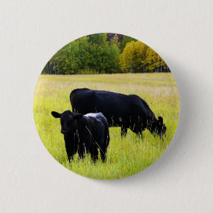 Badge Rond 5 Cm Paires noires d'Angus dans le domaine