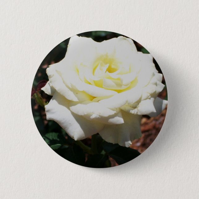 Badge Rond 5 Cm Pale Yellow Rose (Devant)