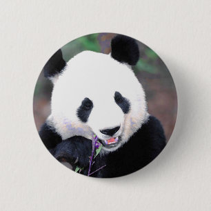 Badge Rond 5 Cm Panda
