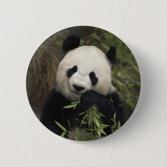 Badge Rond 5 Cm Panda géant mignon (Devant)