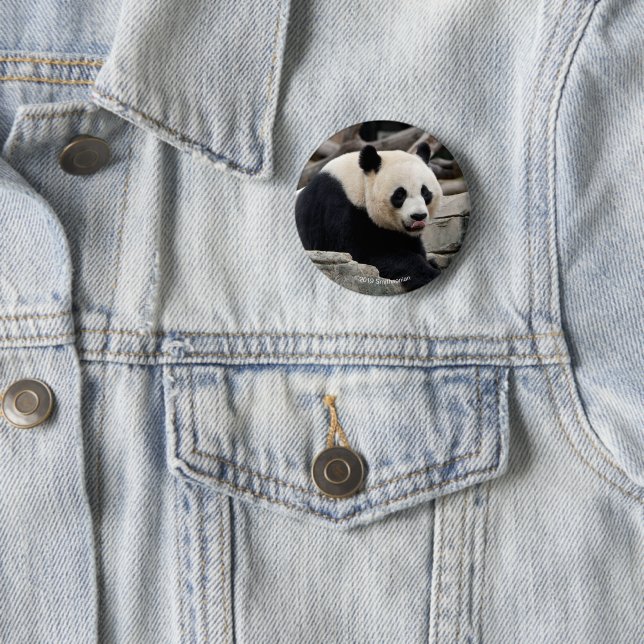 Badge Rond 5 Cm Panda géant sur des roches (En situation)