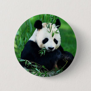 Badge Rond 5 Cm Panda Manger Feuilles