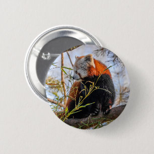 Badge Rond 5 Cm Panda rouge