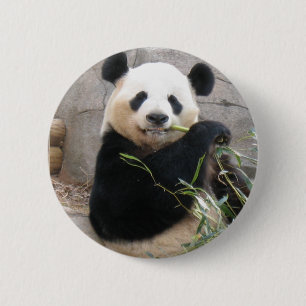 Badge Rond 5 Cm Panda Snack