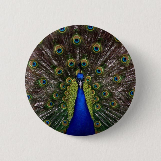 Badge Rond 5 Cm paon (Devant)