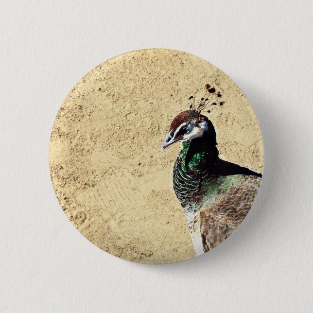 Badge Rond 5 Cm Paon (Devant)