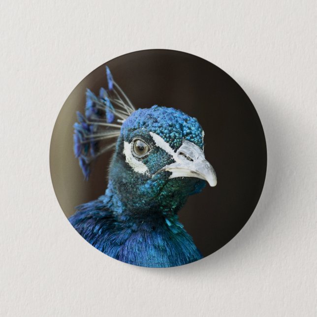 Badge Rond 5 Cm paon (Devant)
