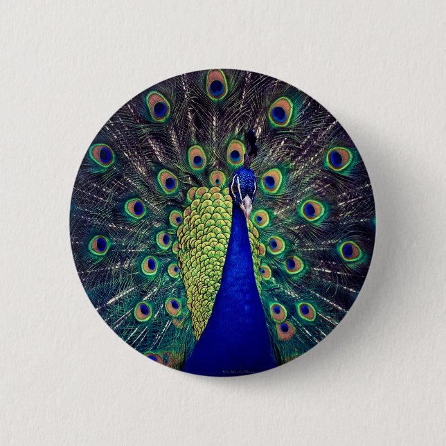 Badge Rond 5 Cm Paon bleu cobalt (Devant)