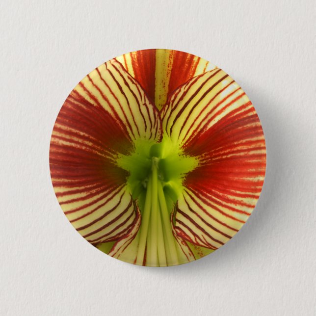 Badge Rond 5 Cm Papillon Amaryllis (Devant)