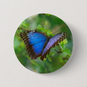 Badge Rond 5 Cm Papillon bleu
