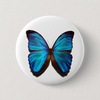 Badge Rond 5 Cm Papillon bleu de Morpho