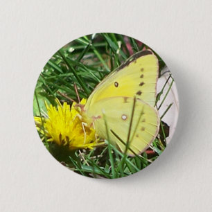 Badge Rond 5 Cm Papillon Dandelion