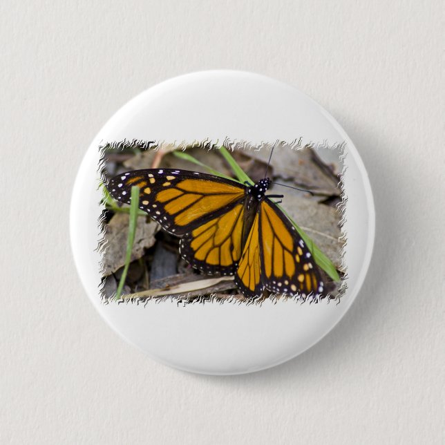 Badge Rond 5 Cm Papillon de monarque (Devant)