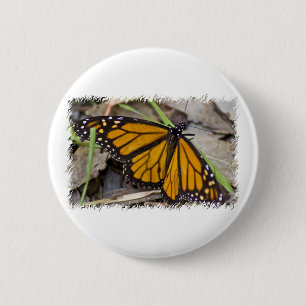 Badge Rond 5 Cm Papillon de monarque