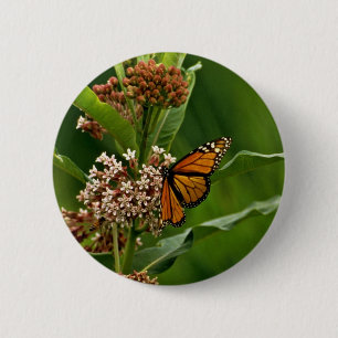 Badge Rond 5 Cm Papillon de monarque