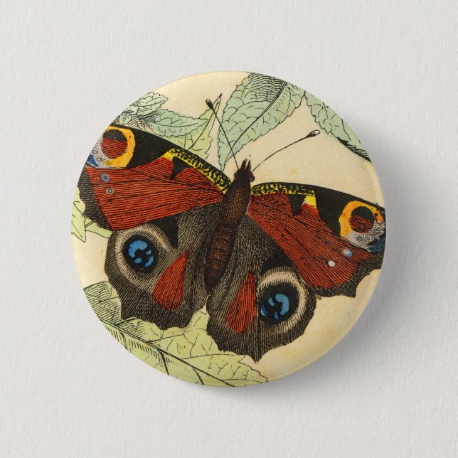 Badge Rond 5 Cm Papillon de paon (Devant)