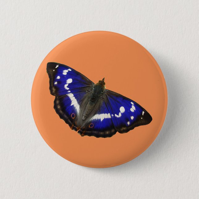 Badge Rond 5 Cm Papillon d'empereur pourpre (Devant)