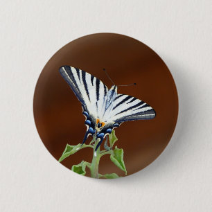 Badge Rond 5 Cm Papillon fantail rayé noir et blanc
