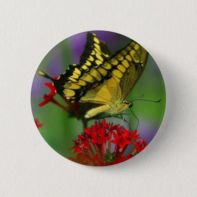 Badge Rond 5 Cm Papillon jaune et noir (Devant)