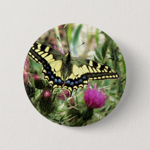 Badge Rond 5 Cm Papillon jaune pâle et bleu