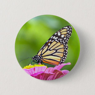 Badge Rond 5 Cm Papillon monarque