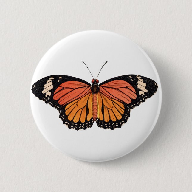 Badge Rond 5 Cm Papillon monarque (Devant)