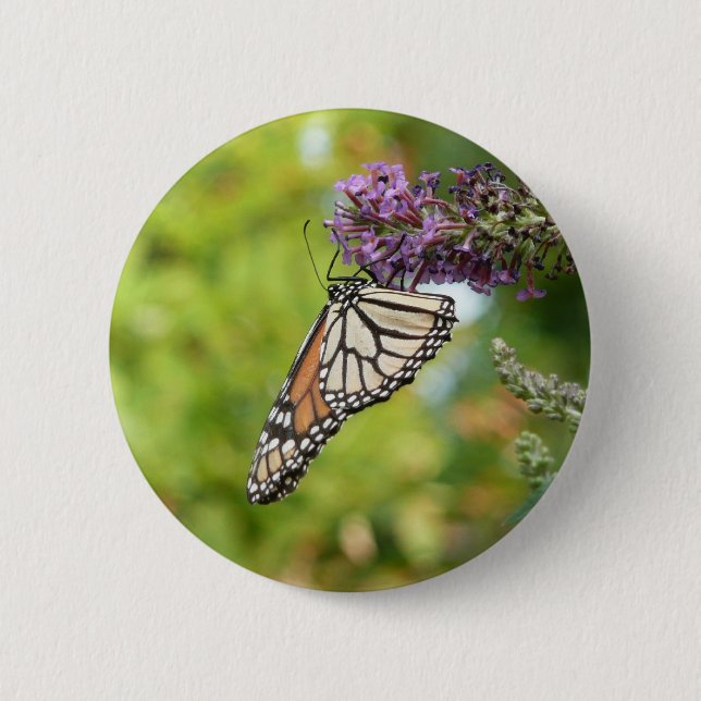 Badge Rond 5 Cm Papillon Monarque sur papillon pourpre Bush (Devant)