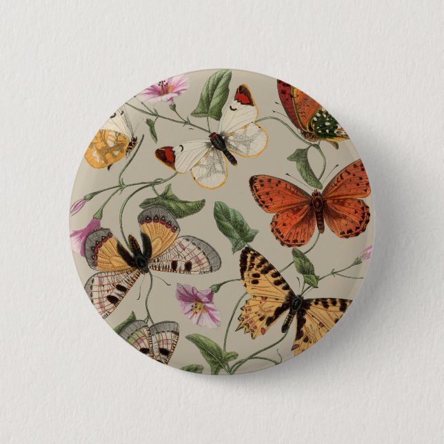 Badge Rond 5 Cm Papillon Moth Nature Dessin aquarelle antique (Devant)