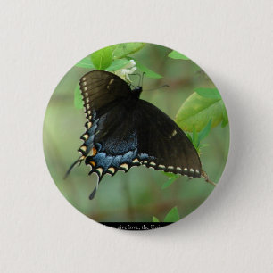 Badge Rond 5 Cm Papillon noir Swallowtail - Dons d'Amour & Vêtemen