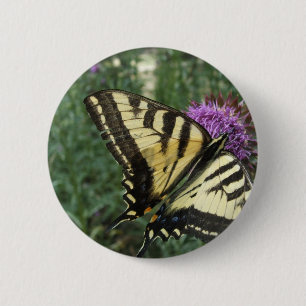 Badge Rond 5 Cm Papillon occidental de machaon de tigre