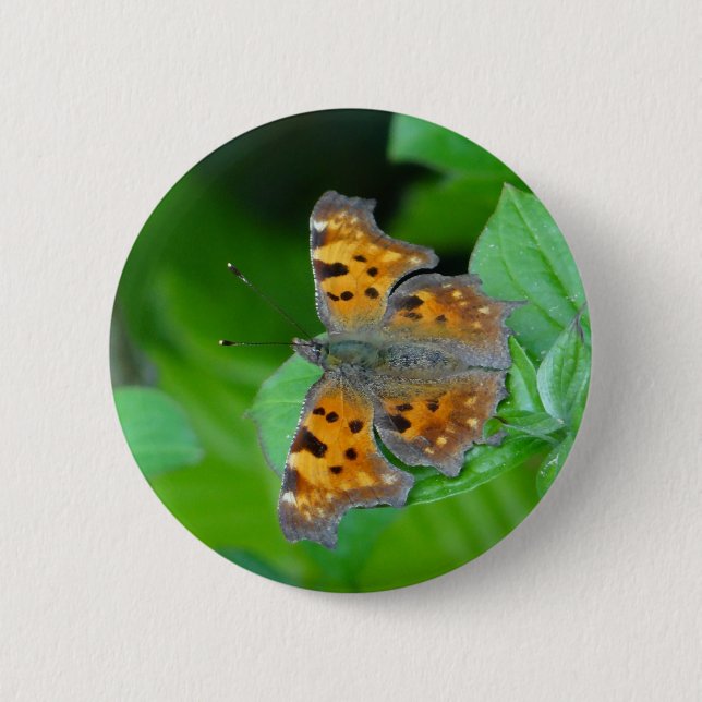 Badge Rond 5 Cm Papillon orange (Devant)