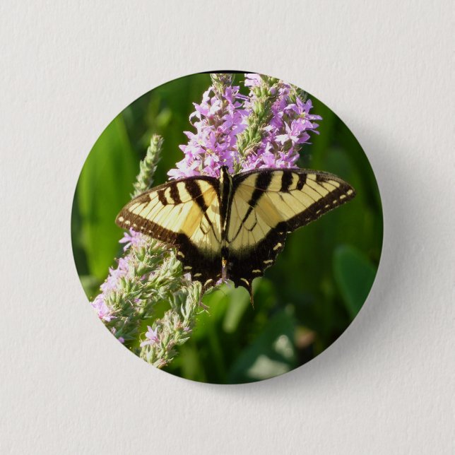 Badge Rond 5 Cm Papillon Swallowtail sur Fleurs sauvages pourpres (Devant)