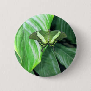Badge Rond 5 Cm Papillon vert