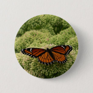 Badge Rond 5 Cm Papillon Viceroy Belle photographie de la nature