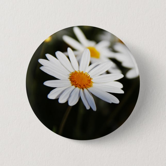 Badge Rond 5 Cm Pâquerette (Devant)