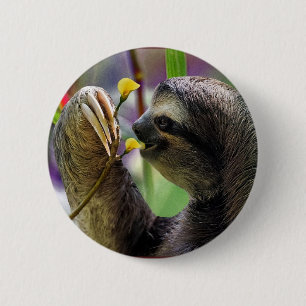 Badge Rond 5 Cm Paresse d'arbre Trois-Bottée avec la pointe du