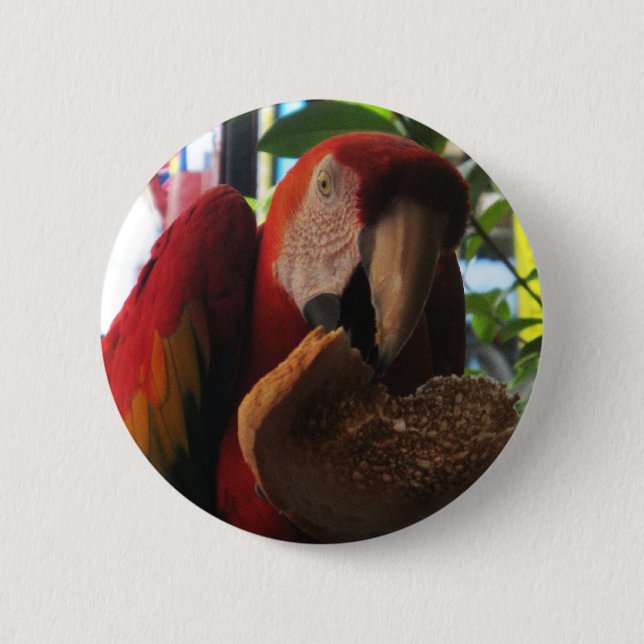 Badge Rond 5 Cm Parrot Macaw Scarlet Manger Toast (Devant)