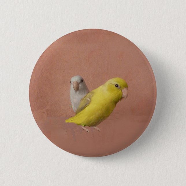 Badge Rond 5 Cm Parrotlets (Devant)