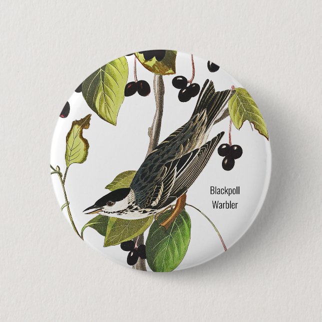 Badge Rond 5 Cm Paruline à polle noire, Audubon, Style Birder pour (Devant)