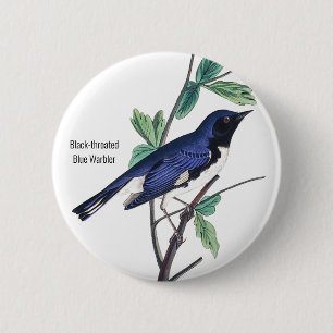 Badge Rond 5 Cm Paruline bleue à gorge noire, Audubon, Oiseau,
