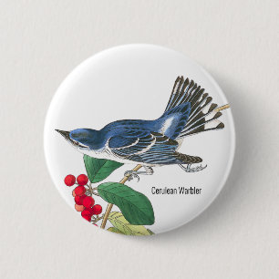 Badge Rond 5 Cm Paruline de Céroule par Audubon, Oiseaux Oiseaux